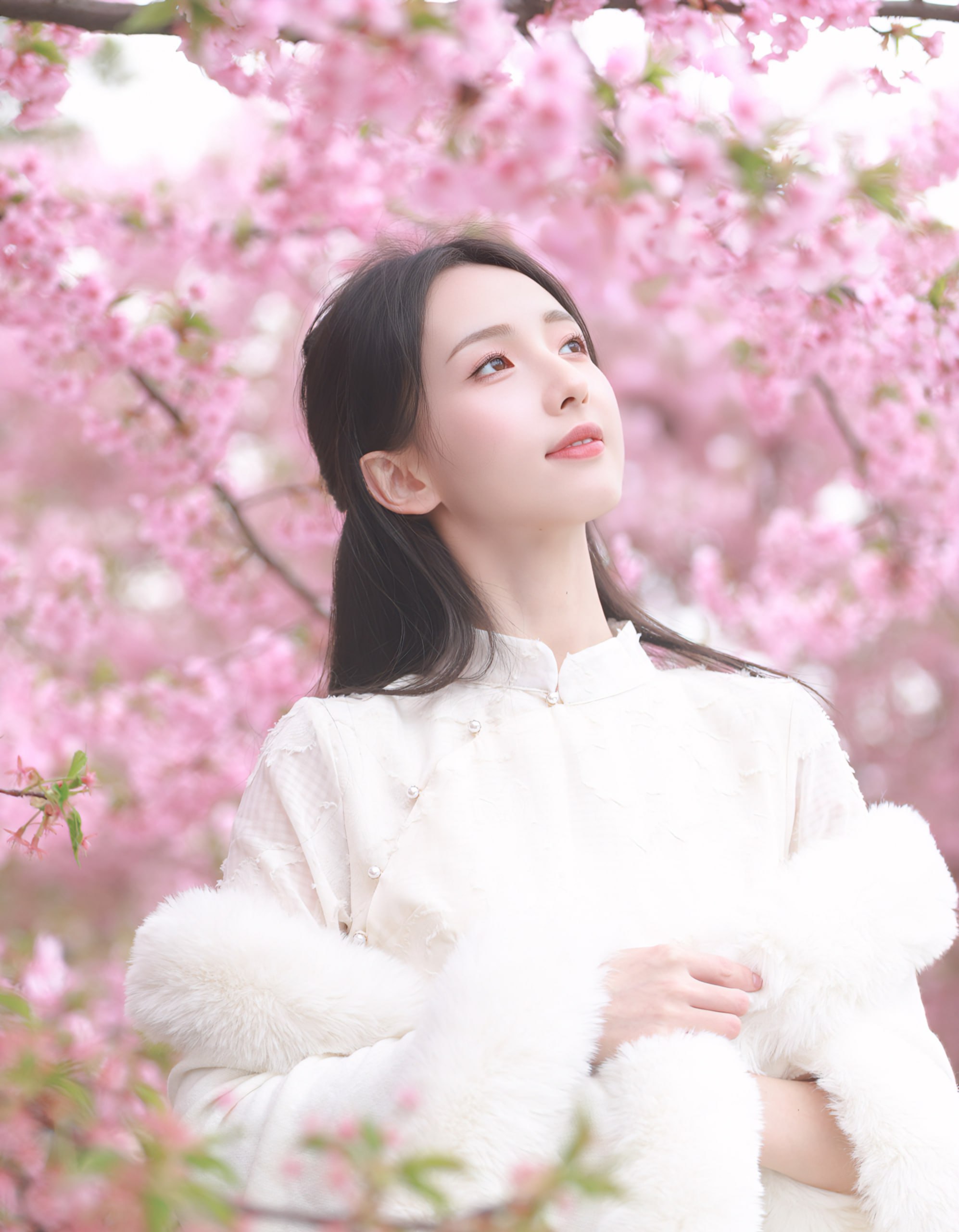 能来帮帮胡桃吗 快来帮帮胡桃吧